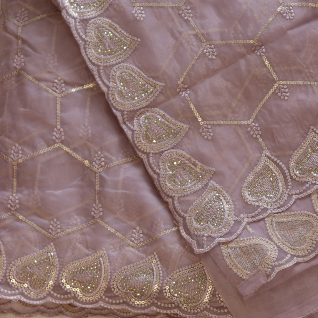 Organza Embroidered With Sequence Work Saree