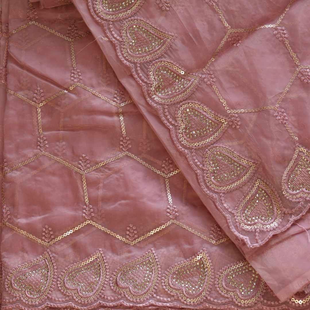 Organza Embroidered With Sequence Work Saree