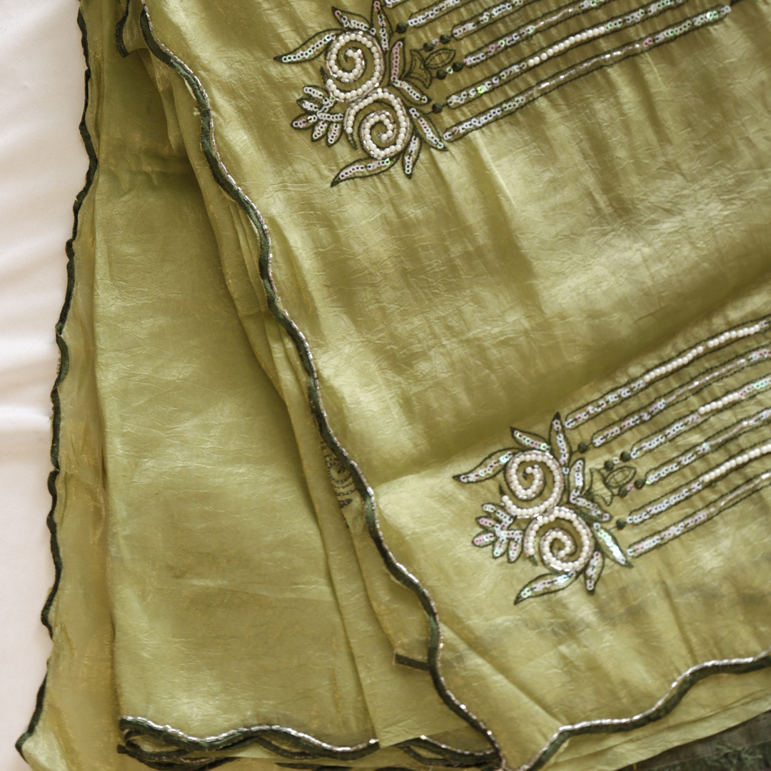 Organza Handwork Saree