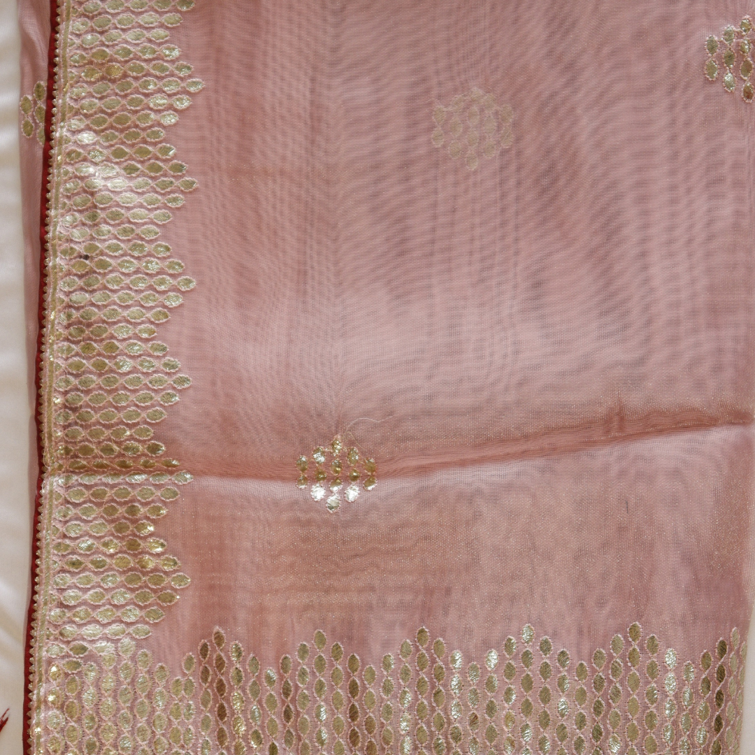 Net Embroidered Fancy Saree