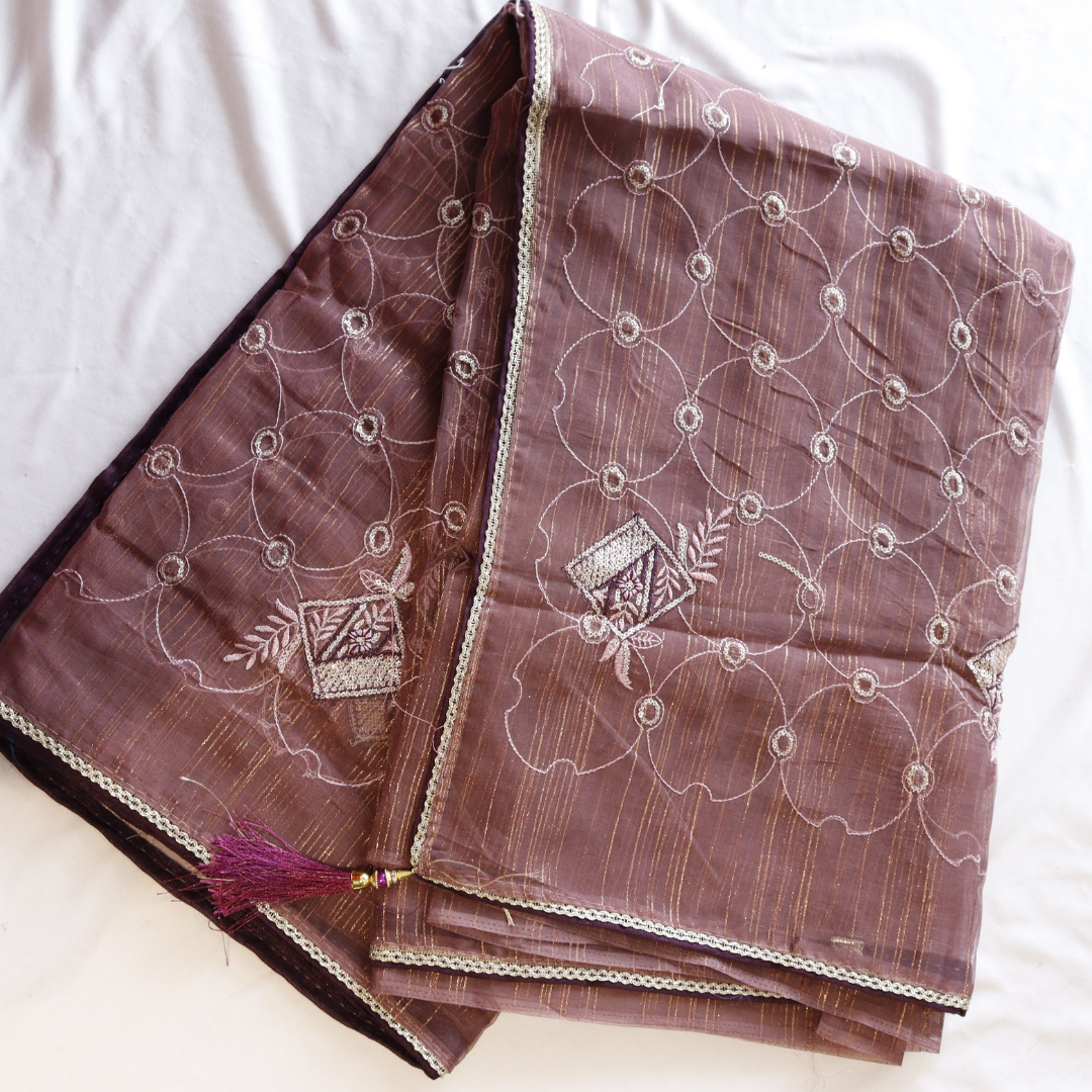 Organza Sequence Jaal Work Saree