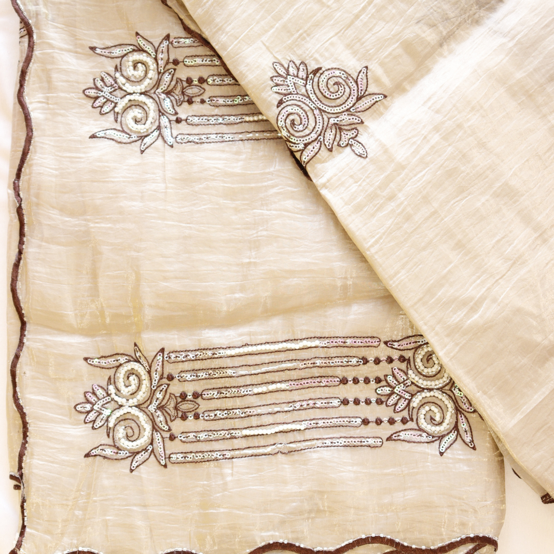 Organza Handwork Saree