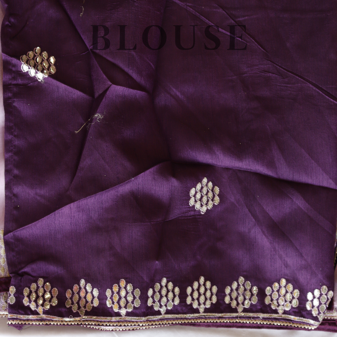 Net Embroidered Fancy Saree