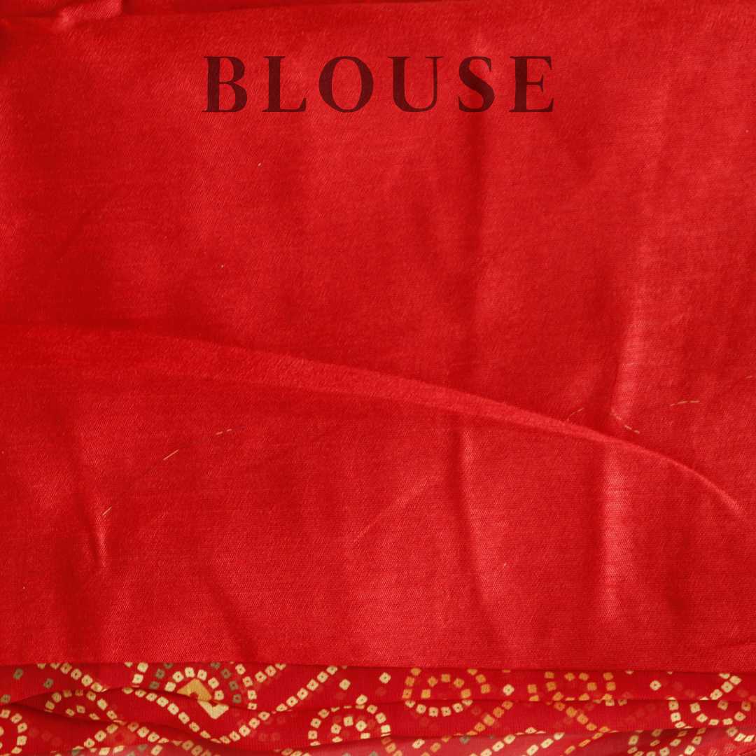 Sequence Border Chunari Saree