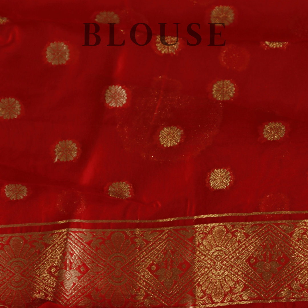 Banarasi Handwork Saree - M&Y Pehnava